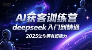 AI获客训练营，deepseek入门到精通，2025让你拥有超能力-琴书聊项目