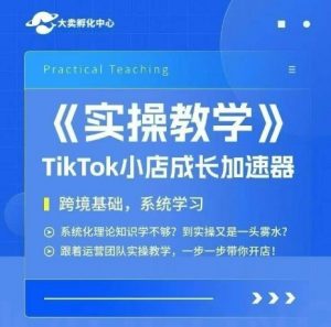 大卖家孵化中心TikTok实操课，TikTok小店成长加速器，跨境基础系统学习，一步一步带你开店-琴书聊项目