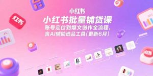 小红书批量铺货课，账号定位到爆文创作全流程，含AI辅助选品工具(更新6月-琴书聊项目