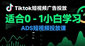 Tiktok短视频广告投放，适合0-1小白学习ADS短视频投放课-琴书聊项目