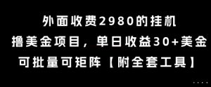 外面收费2980的挂G撸美金项目,单日收益30+美金,可批量可矩阵【揭秘】-琴书聊项目