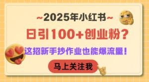 2025年小红书日引100+创业粉？这招新手抄作业也能爆流量！-琴书聊项目