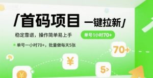 首码一键拉新项目，稳定靠谱，操作简单易上手，单号一小时70+，批量做每天5张【揭秘】-琴书聊项目
