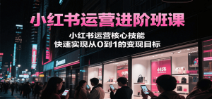 小红书运营进阶班课，小红书运营核心技能，快速实现从0到1的变现目标-琴书聊项目