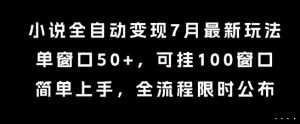小说全自动变现7月玩法，单窗口50+，可挂100窗口，简单上手，全流程限时公布【揭秘】-琴书聊项目
