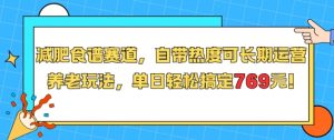 减肥食谱赛道，自带热度可长期运营，养老玩法，单日轻松搞定769-琴书聊项目