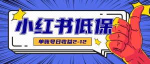适合空闲时间操作的小红书低保项目，小红薯发布笔记，单个账号每天可获得2-12元左右-琴书聊项目
