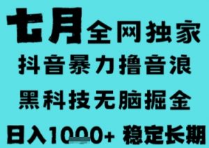 7月最新风口抖音无人直播撸音浪，长期稳定，非短期，全自动运行，低门槛无脑，日入1k+【揭秘】-琴书聊项目