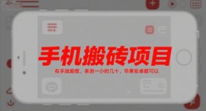 手机搬砖项目，有手就能做，亲测一小时几十，苹果安卓都可以-琴书聊项目