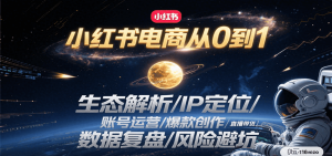 小红书电商从0到1：生态解析/IP定位/ 账号运营/爆款创作/直播带货/数据复盘/风险避坑-琴书聊项目