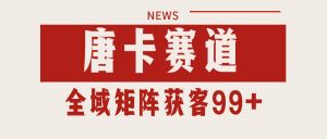 唐卡赛道私域引流获客 自热矩阵SOP日引流99+精准客资-琴书聊项目
