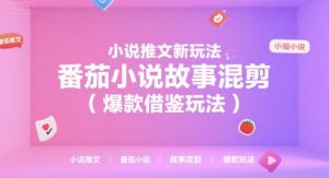 小说推文新玩法,番茄小说故事混剪(爆款借鉴玩法)-琴书聊项目