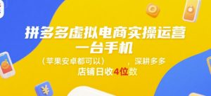 拼多多虚拟电商实操运营，一台手机(苹果安卓都可以)，深耕多多店铺日收4位数-琴书聊项目