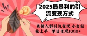 2025年最暴利的引流变现方式，负债人群引流变现，小白轻松上手，日入1k-琴书聊项目