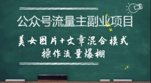 公众号流量主副业项目，美女图片+文章混合模式操作流量爆棚-琴书聊项目