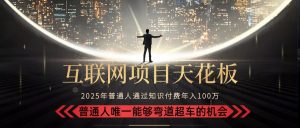 2025“互联网项目天花板”：不做韭菜，做镰刀！“月入 10W+ 普通人弯道…-琴书聊项目