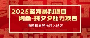 2025 最新闲鱼蓝海暴利项目 快速粗暴单号日入1000+，保姆级教程-琴书聊项目
