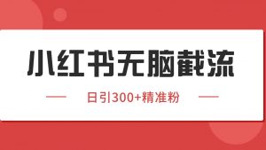 小红书截流同行客源，独家野路子获客玩法 日引200+暴力获客-琴书聊项目