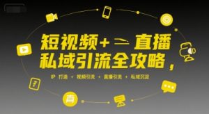 短视频+直播私域引流全攻略，IP打造 +视频引流 +直播引流 +私域沉淀-琴书聊项目