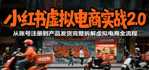 小红书虚拟电商实战2.0，从账号注册到产品发货完整拆解虚拟电商全流程-琴书聊项目