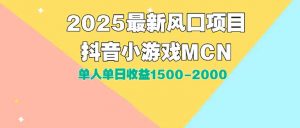 DY小游戏MCN广告2025最新打法单人单日收益1500-2000背靠大平台新手小白…-琴书聊项目