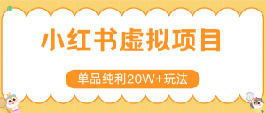 小红书虚拟电商新玩法，实现单品纯利20W+，可矩阵放大操作！-琴书聊项目