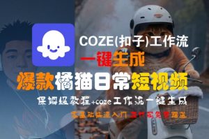 COZE(扣子)工作流一键生成爆款橘猫日常短视频，保姆级教程，零基础快速入门-琴书聊项目