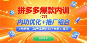 拼多多爆款内训-7月 内功优化+推广组合+自然流 30天掌握日销千单核心模型-琴书聊项目