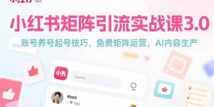 小红书矩阵引流实战课3.0：账号养号起号技巧，免裴矩阵运营，AI内容生产-琴书聊项目