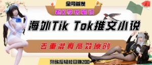海外tiktok小说推文暴力项目，高停留率，高转化率，上手后一天搞顿饭钱不是问题-琴书聊项目