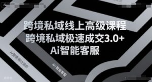 跨境私域线上高级课程，跨境私域极速成交3.0+Ai智能客服-琴书聊项目