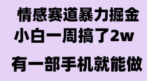 情感暴力掘金项目，新人操作一周挣了2W，长期稳定小白可做【揭秘】-琴书聊项目