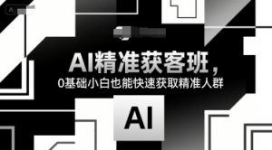 AI精准获客班，0基础小白也能快速获取精准人群-琴书聊项目