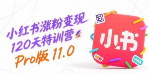 小红书涨粉变现120天特训营Pro版11.0：从0到1掌握平台运营,内容制作和变现-琴书聊项目