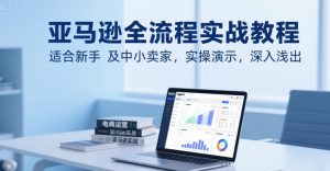 亚马逊全流程实战教程,适合新手及中小卖家,实操演示,深入浅出-琴书聊项目