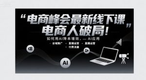 电商峰会最新线下课，电商人破局，如何用AI降本增效，AI应用-全域推广-直播运营-付费流量-琴书聊项目