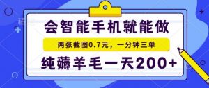 2025年零撸手机项目，二十秒一单，纯薅羊毛，一天200+做就有【揭秘】-琴书聊项目
