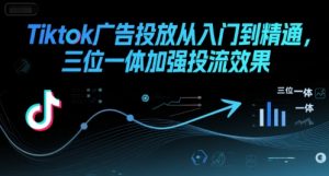 Tiktok广告投放从入门到精通，三位一体加强投流效果-琴书聊项目