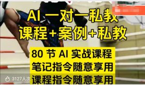 AI指令实战课，课程+案例，80节AI实战课程，笔记指令随意享用，课程指令随意享用(更新7月)-琴书聊项目