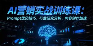 AI营销实战训练课：Prompt优化技巧，行业研究分析，内容创作加速-琴书聊项目