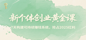 新个体创业黄金课，7天构建可持续赚钱系统，抢占2025红利-琴书聊项目