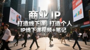 商业IP打造线下课，打造个人 IP线下课视频+笔记-琴书聊项目