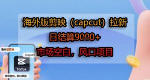 海外版剪映(capcut)拉新，日结算1k+，市场空白，风口项目-琴书聊项目
