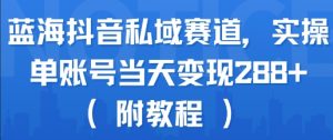 蓝海抖音私域赛道，实操单账号当天变现288+(附教程)-琴书聊项目