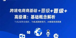 跨境电商基础+晋级+高级课：基础概念解析,Tk私域涨粉技巧,AI客服系统搭建-琴书聊项目