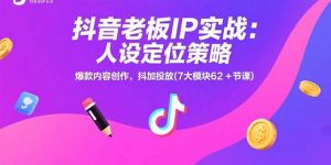 抖音老板IP实战:人设定位策略,爆款内容创作,抖加投放(7大模块62+节课-琴书聊项目