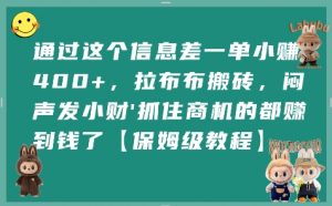 通过这个信息差一单小挣4张+，拉布布搬砖，闷声发小财抓住商机的都挣到钱了【保姆级教程】-琴书聊项目
