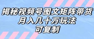 解密视频号图文矩阵带货，月入几个W的打法，可复制-琴书聊项目