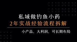 私域做钓鱼小药 每单利润3张+ 详细流程拆解-琴书聊项目