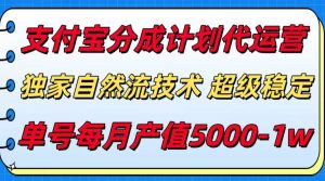 支付宝分成计划代运营，独家自然流技术，收益稳定，单号月产5000＋-琴书聊项目